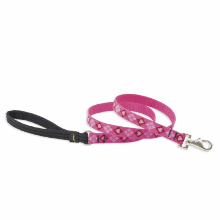 Lawn & Garden * | Good Quality Lupine 14209 Originals Padded Handle Medium Dog Leash, Puppy Love, 3/4