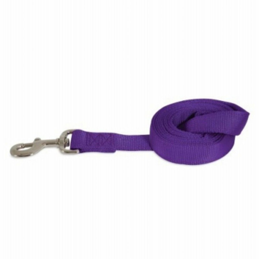 Pet Supplies * | Clearance Petmate 10961 Dog Leash, Purple