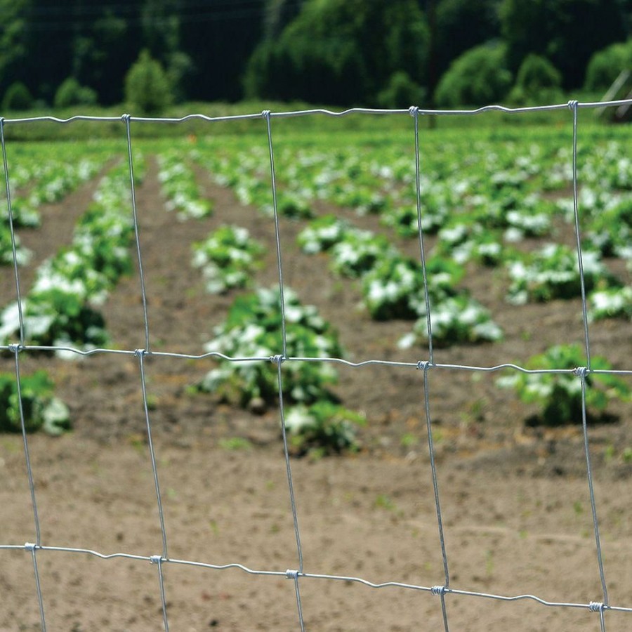 Fencing & Edging * | Discounts Farmgard 348104B Class 1 Galvanized Steel Multi-Purpose Field Fence,