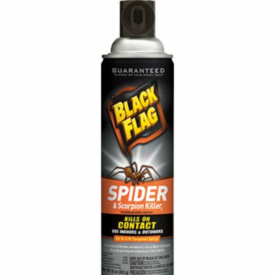 Lawn & Garden * | Tendy Style Black Flag Hg-11027 Spider & Scorpion Killer, Aerosol Spray, 16 Oz