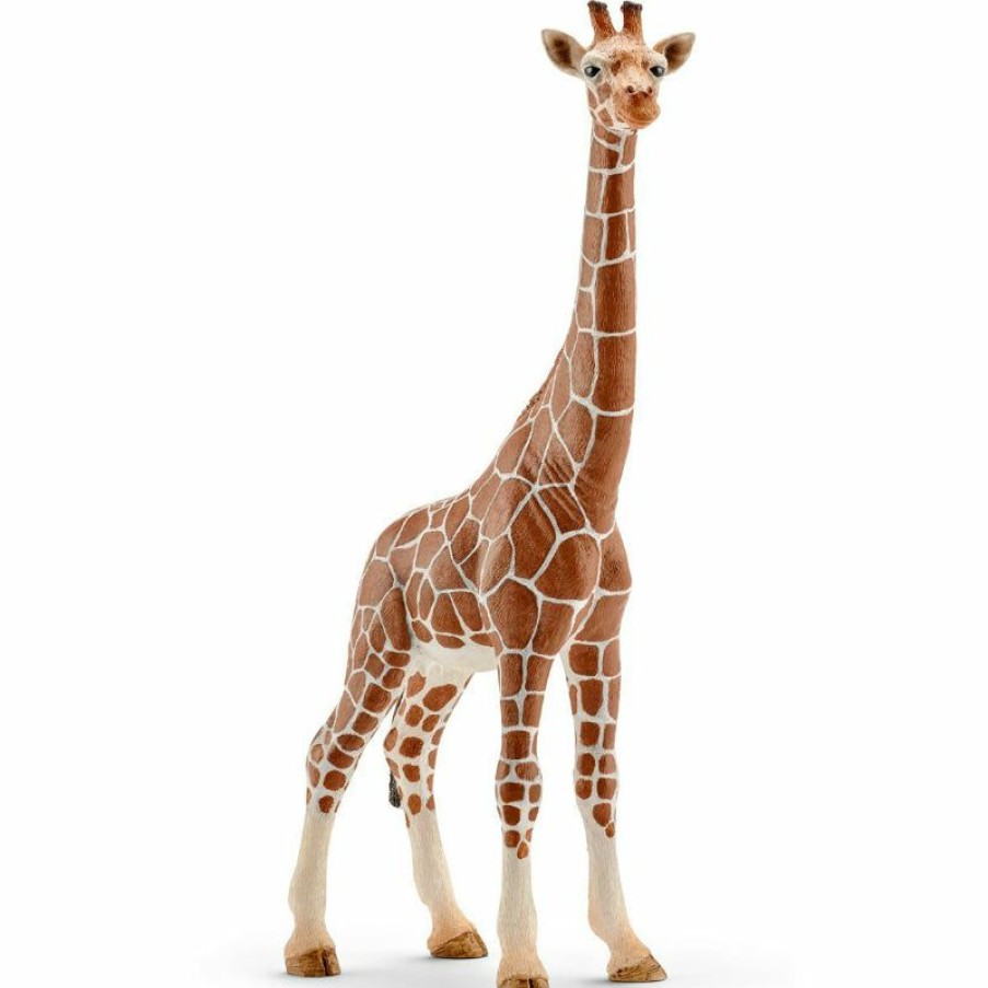 General Toys * | Official Schleich 14750 Female Giraffe Toy For Ages 3 & Up, Plastic, Tan