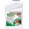 Grass & Weed Killer * | Sale Bonide 7504 Botanical Kleenup Weed And Grass Killer, 1 Quart